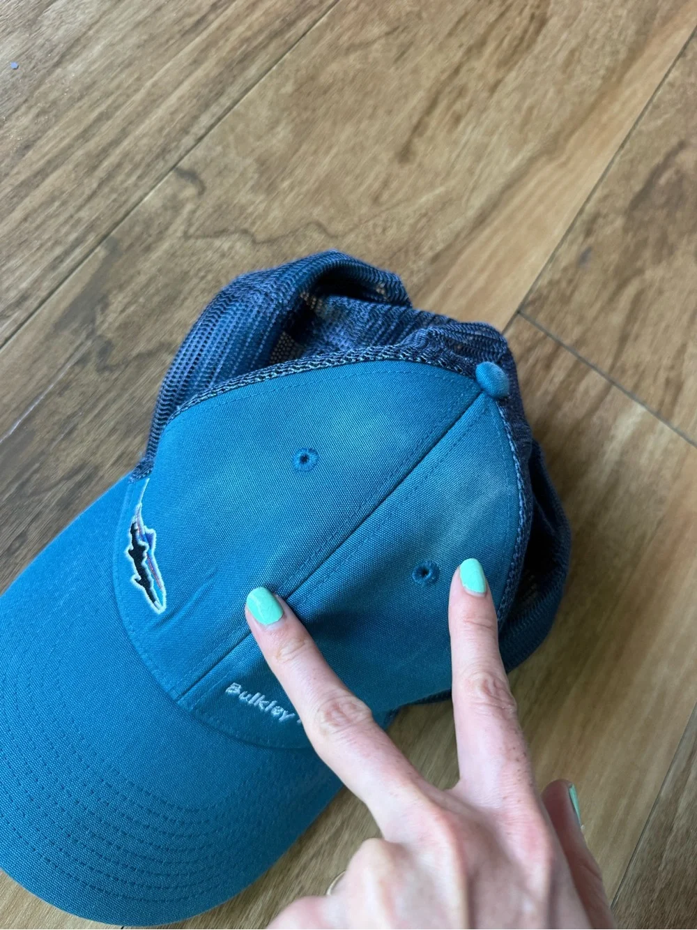 Patagonia Bulkley River Lodge Steelhead Fly Fishing Trucker Hat
